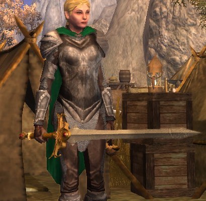 Female Paladin from Neverwinter Nights