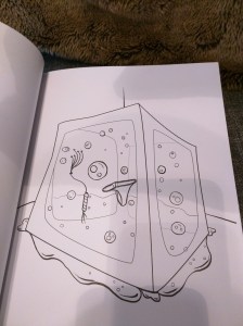 1205771073759485367?account_id=3